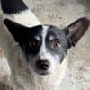 OTTO 3 sucht Liebe und Geborgenheit