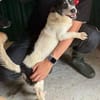 OTTO 3 sucht Liebe und Geborgenheit