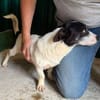 OTTO 3 sucht Liebe und Geborgenheit