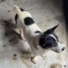 OTTO 3 sucht Liebe und Geborgenheit