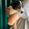 OTTO 3 sucht Liebe und Geborgenheit