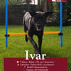Ivar