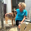 kleine Missy - wo ist mein Zuhause