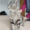 Dringend! Pia -  super lieb & verschmust