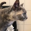 BONNIE (reservé)
