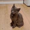 KURO (réservé)