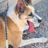 ROCKO (Maria)