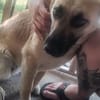 Susi  eine liebe Seele sucht euch