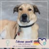 Juna - liebe, feinsinnige und sensible