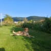 Juna - liebe, feinsinnige und sensible