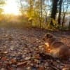 Juna - liebe, feinsinnige und sensible