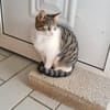 Minnie und Elsa aus dem Tierschutz