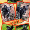junge aktive Katea auf PS in 90475