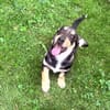 Rory ein Tolles Kerlchen