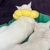 Moon & Bowie