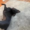 Tommy, Neuanfang gesucht