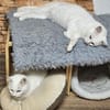 LUKE -sucht Paten und Streicheleinheiten