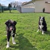 BILLI&GRACE - fit, gepflegt, gut erzogen