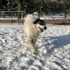 Dankbare Hedwig sucht ihre Menschen