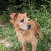 Pflegesenior Jonas wartet in Meerbusch!