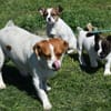 Hannah sucht Familienanschluss