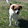 Hannah sucht Familienanschluss