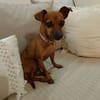 ROXY l'amie mini