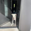 Billy
