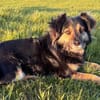 Vivi sucht ein liebevolles Zuhause