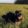Vivi sucht ein liebevolles Zuhause