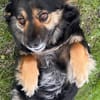 Vivi sucht ein liebevolles Zuhause