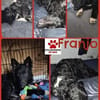Aktiver Franjo sucht seine Familie