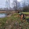 Oreo- menschenbezogener Hund sucht dich