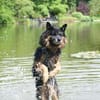 Verschmuster Bruno sucht sein Zuhause