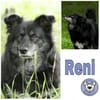 RENI ** gemütlich brav verträglich