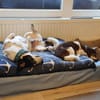 TILU * liebt es gemütlich und ruhig