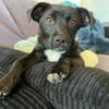 Makea