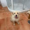 HAPPY (Martina)