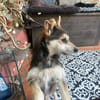 MILO (Martina)