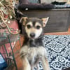 MILO (Martina)