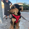 WALDO (Martina)