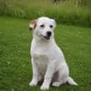 Sissy sucht ihre Familie