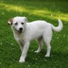 Sissy sucht ihre Familie