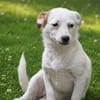 Sissy sucht ihre Familie