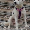 Nelly- sucht ihr Happyend