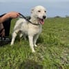 Nelly- sucht ihr Happyend