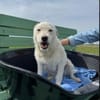 Nelly- sucht ihr Happyend