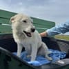 Nelly- sucht ihr Happyend