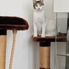 June sucht ihr Für-immer-Zuhause