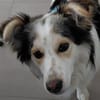 Theo - ein aktiver und enger Begleiter